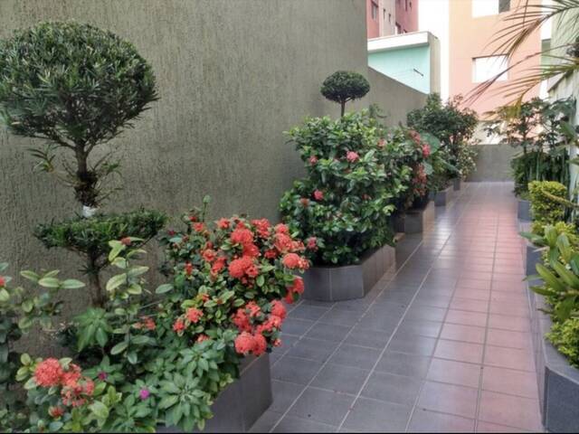 #7229 - Apartamento para Venda em São Bernardo do Campo - SP